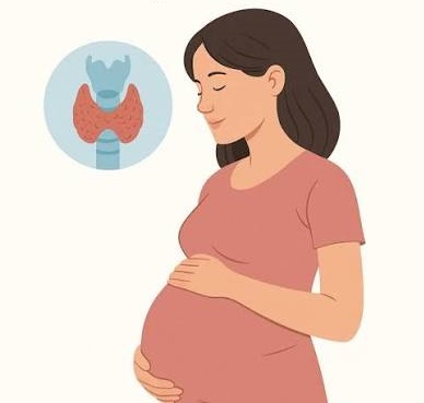 تیروئید در بارداری